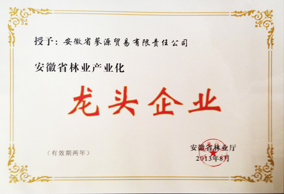 2013蓼源公司林业产业化龙头企业