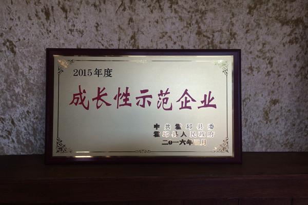 2015年度成长性示范企业