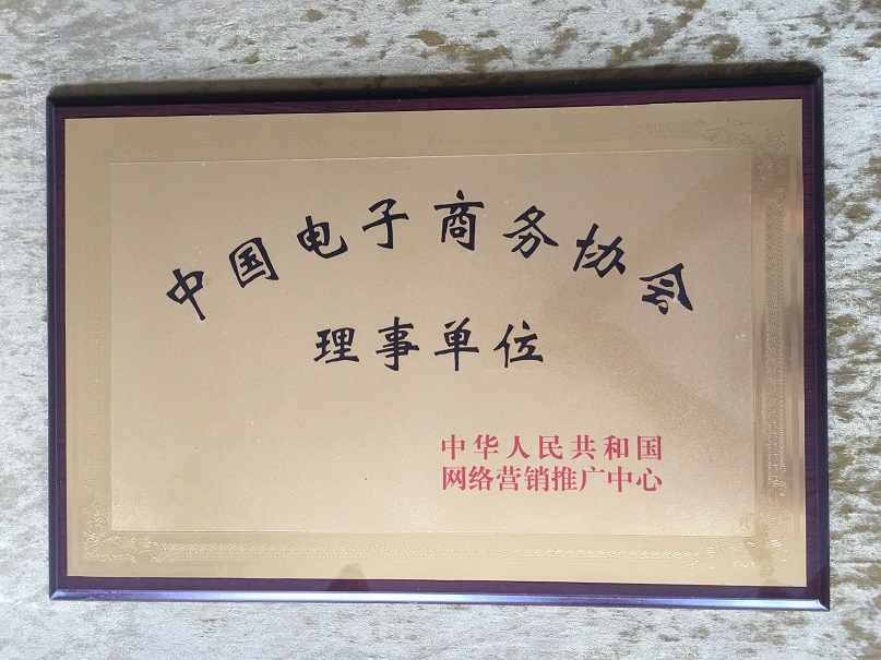 China Electronic Commerce Association governing unit