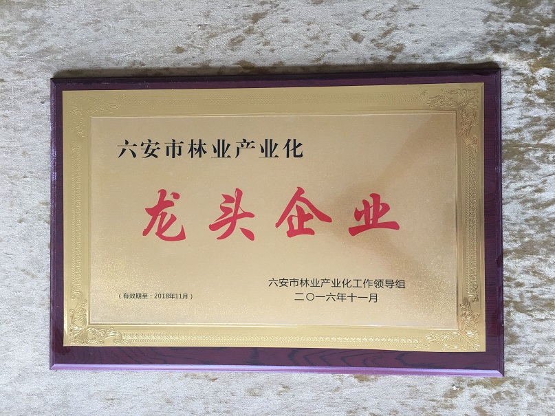 Leading enterprise of forestry industrialization in Lu'an City, Anhui Province, China